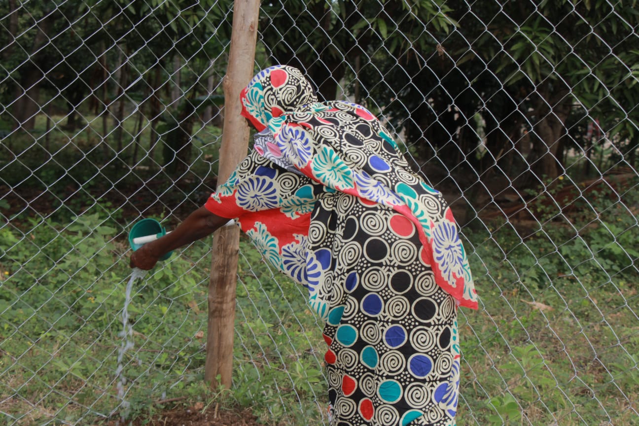 Widowed Women Livelihood Support Project   Kenya